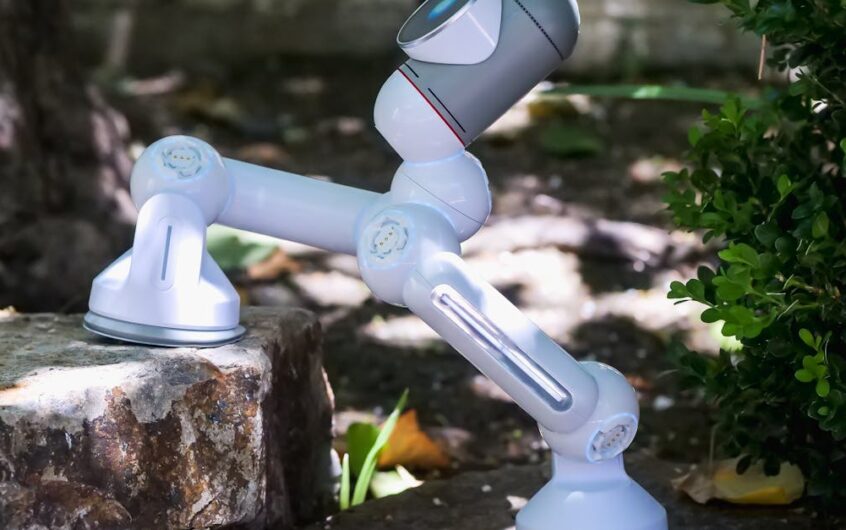 Inteligentny Ogród: Jak Technologia Zmienia Nasze Przestrzenie Zieleni