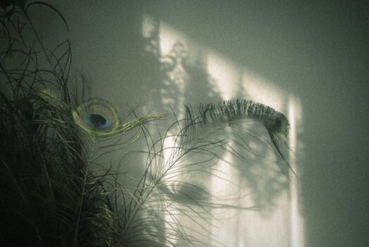 Ściana, która grzeje zimą i chłodzi latem: gliniany tynk z matą kapilarną i akumulacją PCM na 24 V DC