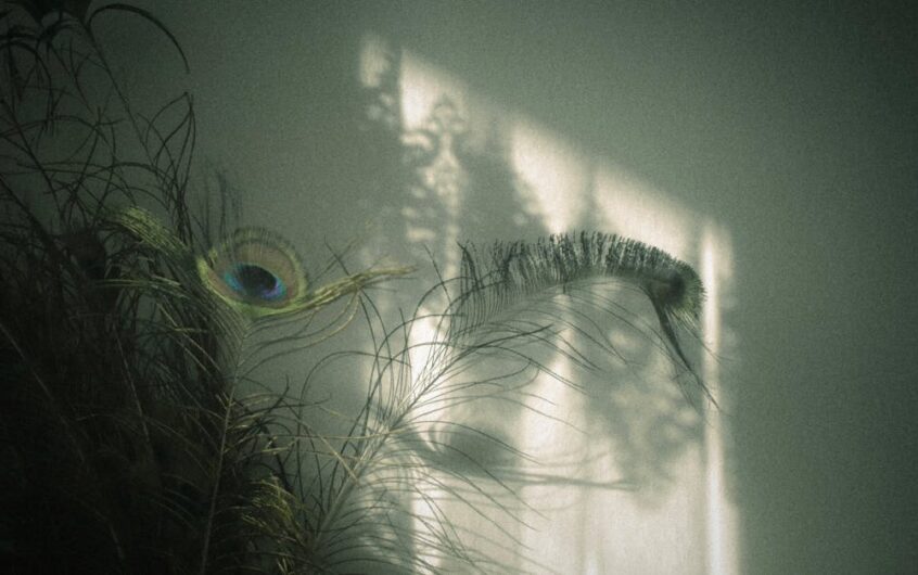 Ściana, która grzeje zimą i chłodzi latem: gliniany tynk z matą kapilarną i akumulacją PCM na 24 V DC